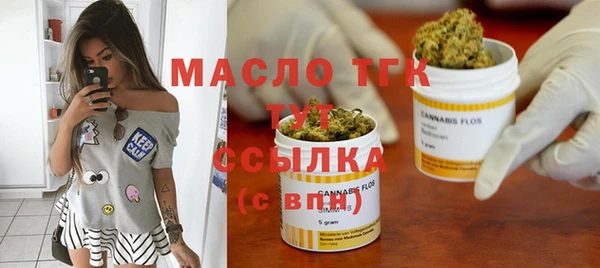 тгк Дмитриев