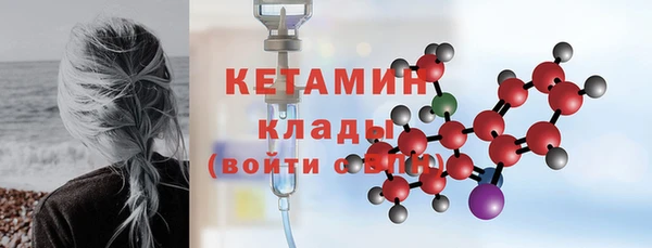 тгк Дмитриев