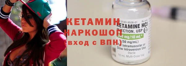 тгк Дмитриев