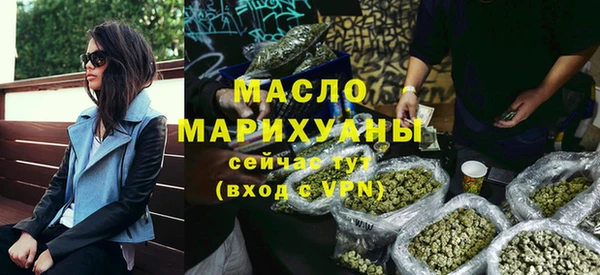 тгк Дмитриев