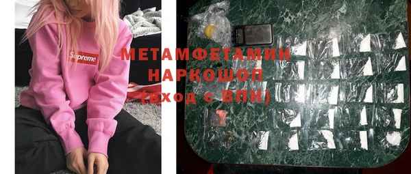 тгк Дмитриев