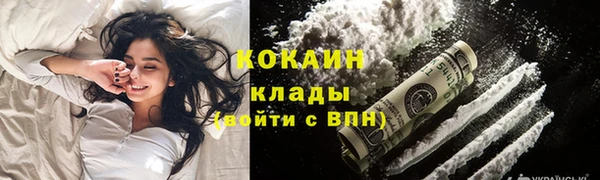 тгк Дмитриев